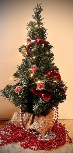 Merry Christmas and successful 2022 year!