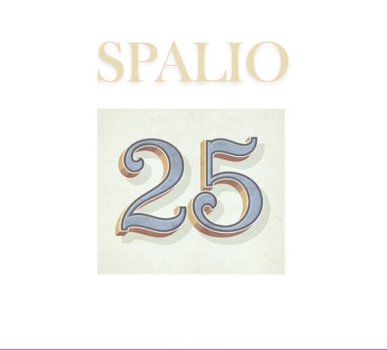 Spalio 25-oji – Konstitucijos diena
