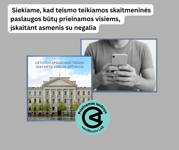 Apeliacinio teismo 2024 metų apžvalga visiems: ir regintiems, ir matantiems kitaip
