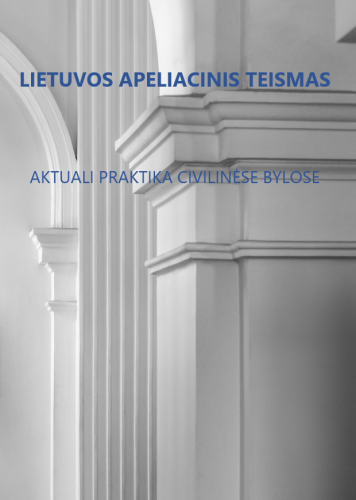 Lietuvos apeliacinio teismo 2025 m. liepos–rugpjūčio mėn. praktikos civilinėse bylose apžvalga